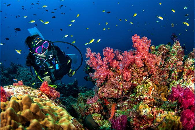 天僕潛水學院讓潛水愛好者可以踏上難忘的水下冒險之旅