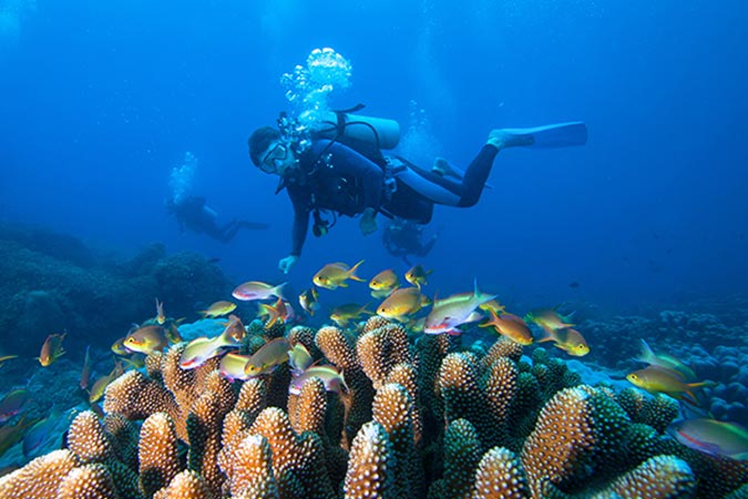 培養潛水員成為具有專業技能和知識的潛水專家
